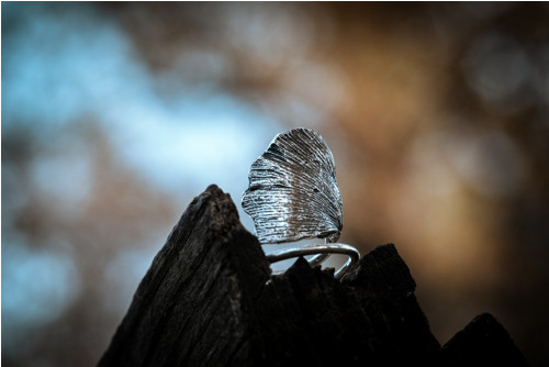 Prsten Gingko nastavitelný — foto 5