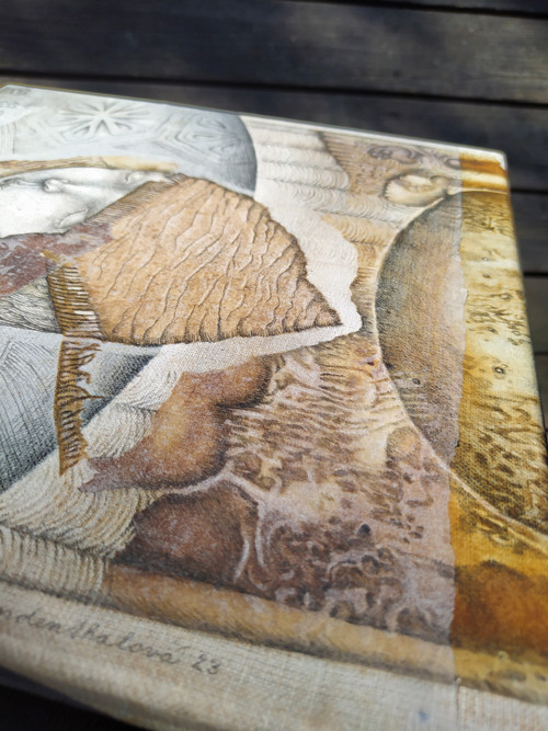 Seveřanka / originál — foto 6