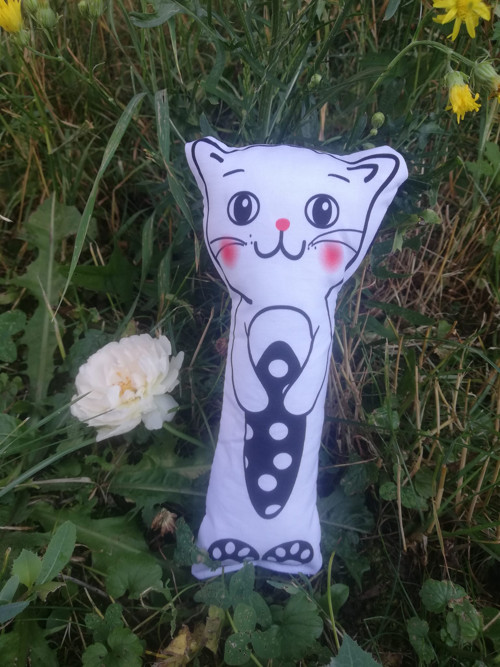 Kontrastní kočičky — foto 3
