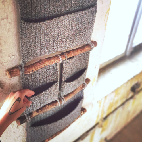 Kapsář Veliký Sivý — foto 2