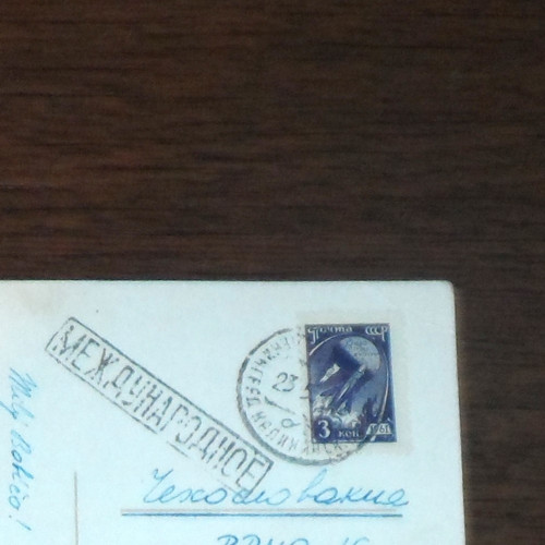 POHLEDNICE přání, květiny, SSSR 1964 — foto 2