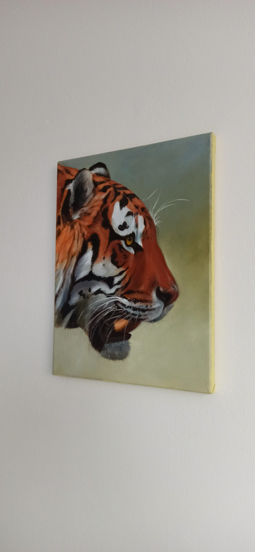 Hlava tygra, olej na plátně 30x40cm — foto 4