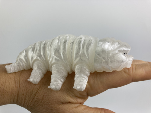 Flexi Želvuška S - čirá, 3D tisk — foto 3
