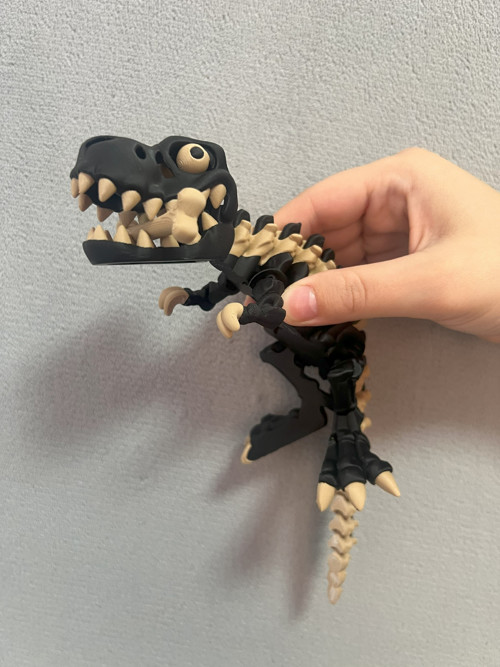 Flexi Kostěný Tyranosaurus Rex - 25 cm - 3D tisk — foto 3