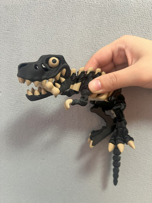 Flexi Kostěný Tyranosaurus Rex - 25 cm - 3D tisk — foto 3