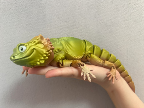 Agama Vousatá - 26 cm - 3D Tisk — foto 2