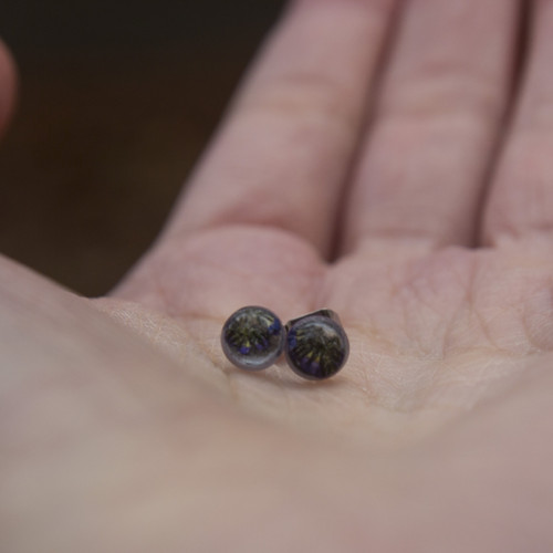 Mini náušnice pomněnka 6 mm — foto 6