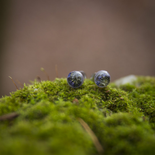Mini náušnice pomněnka 6 mm — foto 4