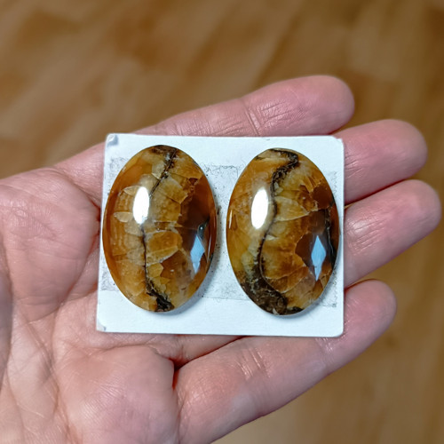 Amonitový Simbircite/Simbircit, ID 3411, 34x23 mm — foto 2