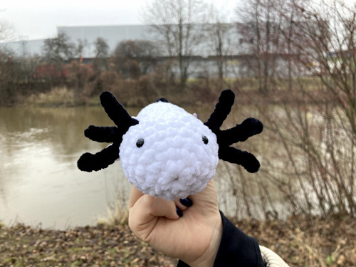 Bíločerný háčkovaný axolotl — foto 2