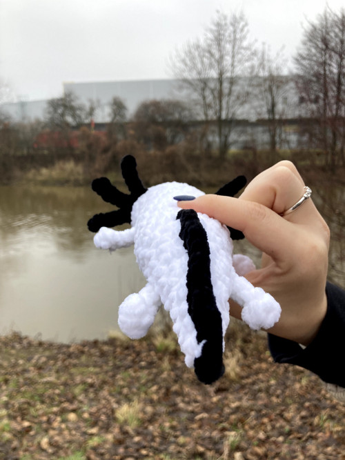 Bíločerný háčkovaný axolotl — foto 4