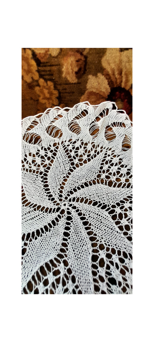 Jemná krása — foto 5