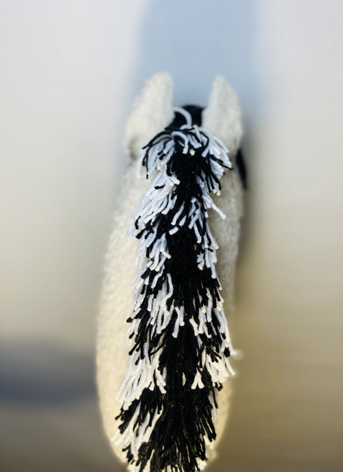 Fjord - Hobby horse — foto 6