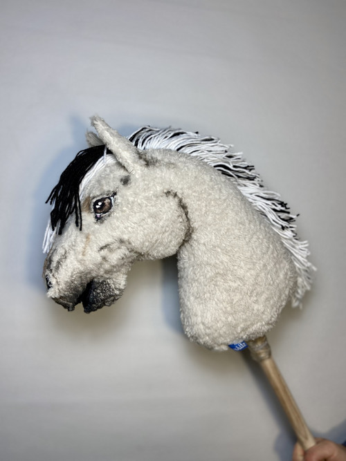 Fjord - Hobby horse — foto 2