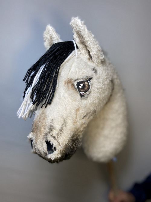 Fjord - Hobby horse — foto 3