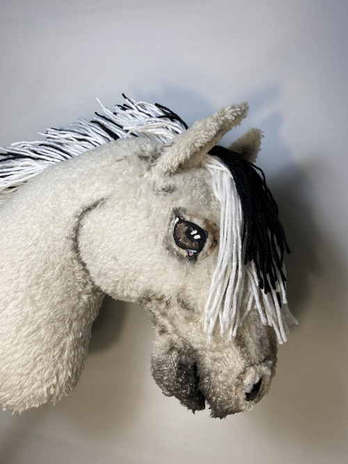 Fjord - Hobby horse — foto 5