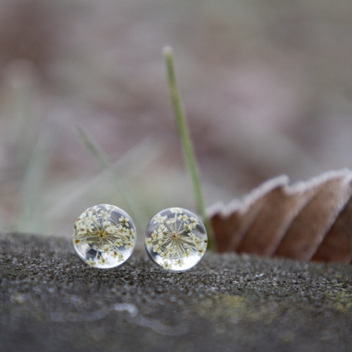 Náušnice divoká mrkev 10 mm — foto 5