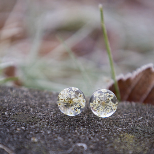 Náušnice divoká mrkev 10 mm — foto 4