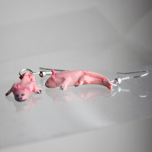 Axolotl — foto 3