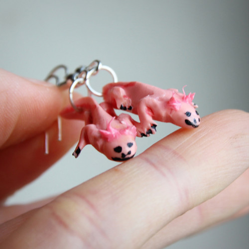 Axolotl — foto 2