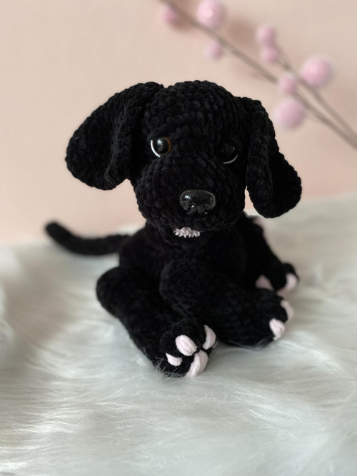 Háčkovaný černý labrador s hnědými oči — foto 4