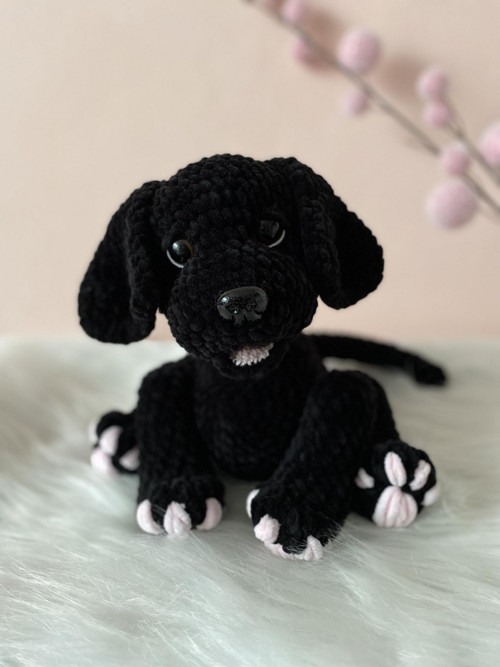 Háčkovaný černý labrador s hnědými oči — foto 3