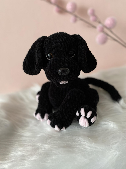 Háčkovaný černý labrador s hnědými oči — foto 2