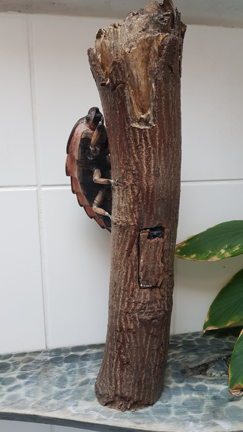 Lumiel Zářivá — foto 5