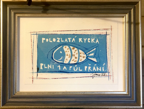 Polozlatá rybka — foto 4