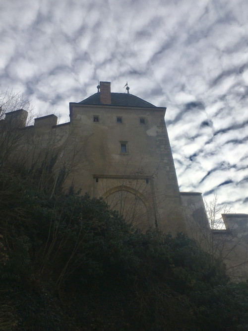 Polozlatá rybka — foto 2
