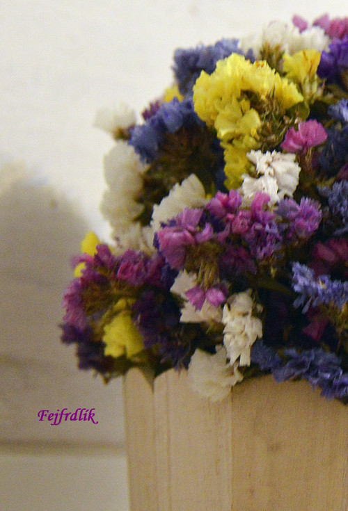 Kuk ;).. — foto 3