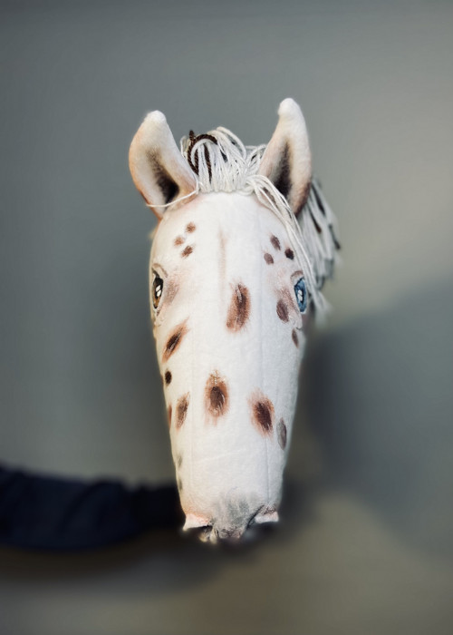 Appaloosa - Hobby horse — foto 2