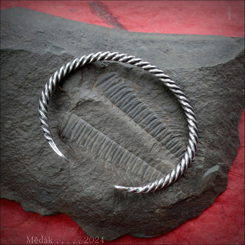 Trilobit... — foto 3