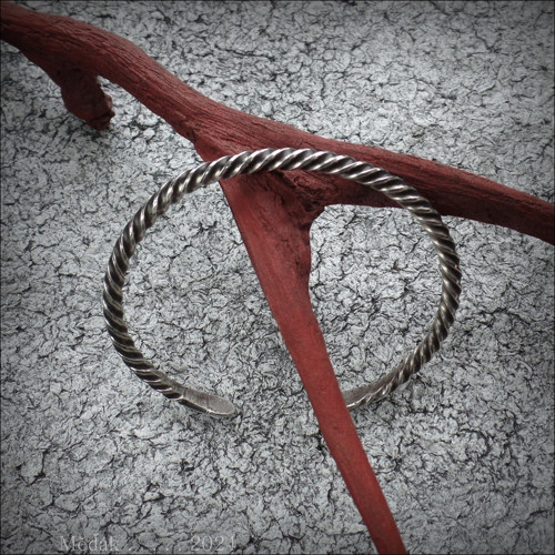 Trilobit... — foto 2