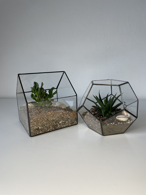 Florarium "Pětiúhelník" — foto 5