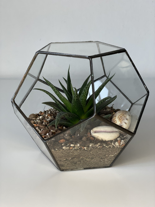 Florarium "Pětiúhelník" — foto 3