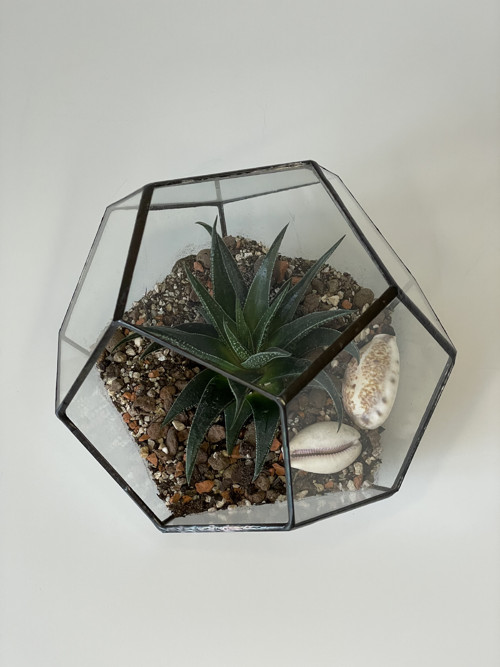 Florarium "Pětiúhelník" — foto 4