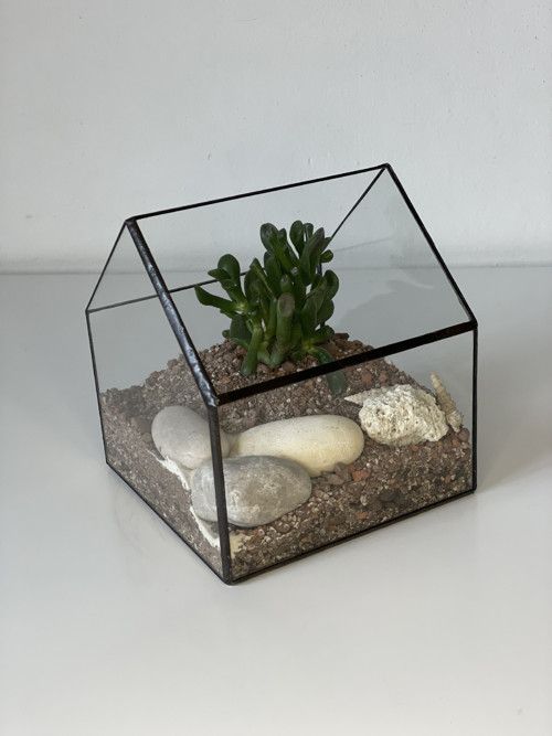 Florarium "Domeček" — foto 5