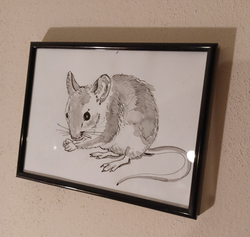 Kamarádka myška chalupní — foto 2