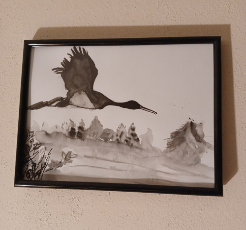 Volavka letí — foto 2