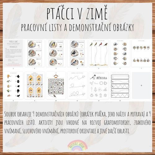 Ptáčci v zimě, pracovní listy — foto 2
