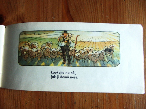 Šel zajíček brázdou - říkadla — foto 4