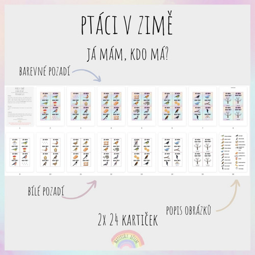 Já mám, kdo má? Ptáci v zimě — foto 2