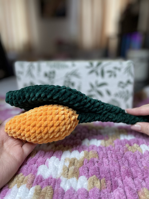 Tulipan — foto 4