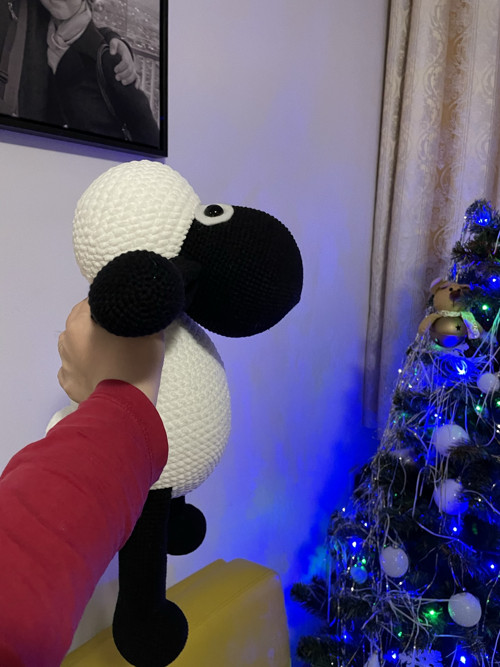 Ovečka Bonnie — foto 4