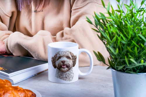 Hrneček - Lagotto romagnolo — foto 2