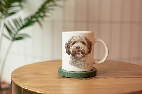 Hrneček - Lagotto romagnolo — foto 3