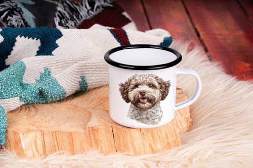 Plecháček - Lagotto romagnolo — foto 2