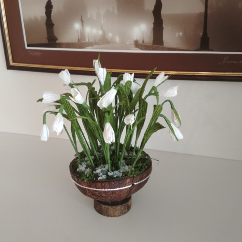 Sněženky ohlašují jaro — foto 3