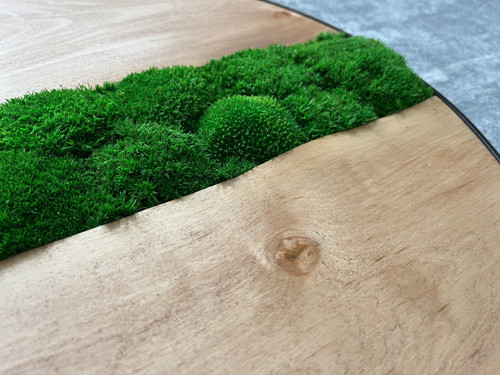 Mechový obraz průměr 50cm — foto 4